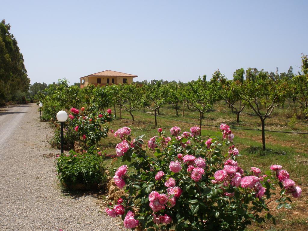 Bed And Breakfast Le Camelie Alghero Dış mekan fotoğraf