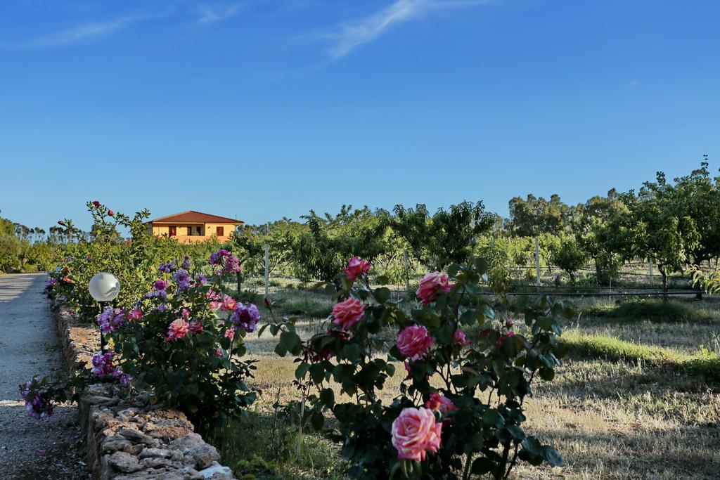 Bed And Breakfast Le Camelie Alghero Dış mekan fotoğraf